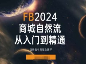 2024Facebook商城自然流量实战：从入门到精通玩转全闭环运营-小伟资源网