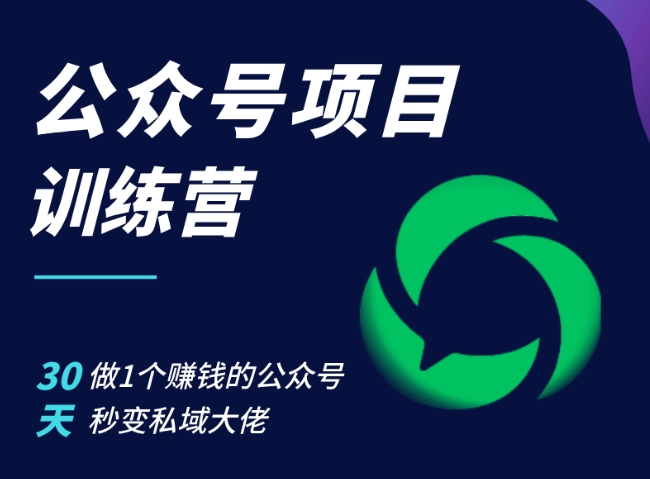 30天打造赚钱公众号：零基础速成私域运营高手-小伟资源网
