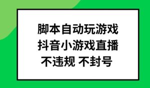 抖音小游戏自动直播脚本:安全稳定批量操作技巧-小伟资源网