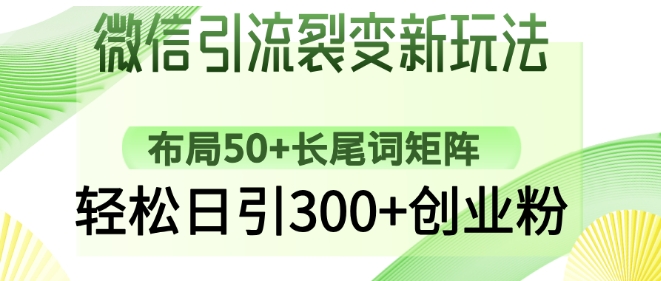 50个长尾词矩阵布局，微信日引300+创业粉的裂变新招-小伟资源网