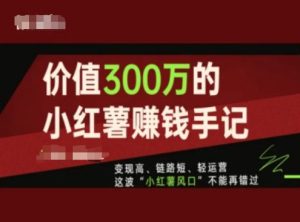 小红书变现指南：300万实战经验，短链路轻运营抓住风口-小伟资源网