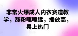 成人内衣赛道爆款秘籍：快速涨粉、高播放量、轻松上热门-小伟资源网