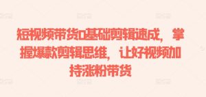 零基础速成爆款短视频剪辑，轻松涨粉带货秘籍-小伟资源网