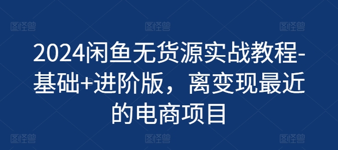 2024闲鱼无货源电商实战：零基础到进阶快速变现指南-小伟资源网