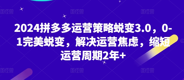 \”2024拼多多运营3.0：从0到1快速蜕变，2年周期缩短术\”-小伟资源网