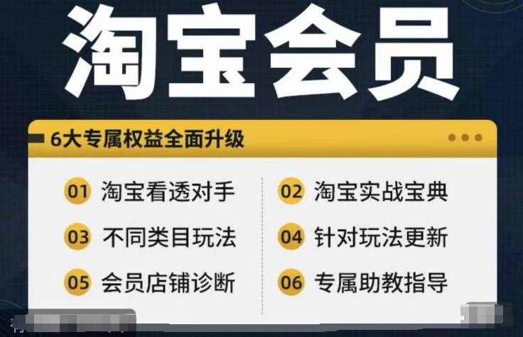 \”淘宝会员实战宝典：从入门到精通，全面解析竞品课程\”-小伟资源网