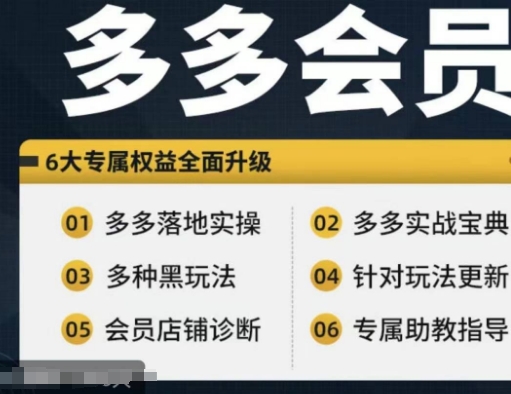 拼多多会员实战宝典：新手到高阶全攻略-小伟资源网