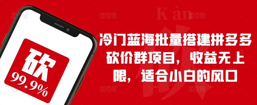\”拼多多砍价群冷门暴利玩法，新手轻松入局，收益无上限【揭秘】\”-小伟资源网