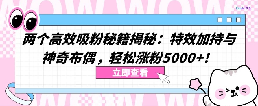 \”特效+布偶双秘籍：轻松涨粉5000的爆款攻略\”-小伟资源网