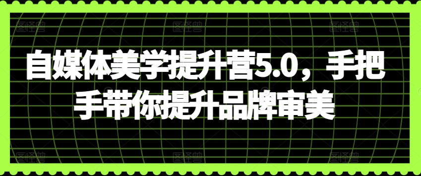 \”5天速成品牌美学：自媒体审美提升实战营\”-小伟资源网