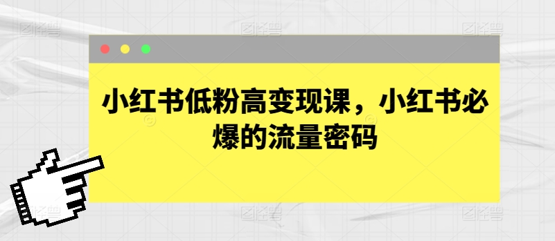 \”小红书0粉起号变现课：揭秘爆款流量密码，新手也能轻松赚钱\”-小伟资源网