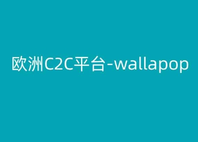 \”欧洲二手电商Wallapop跨境电商运营指南：C2C平台实操教程\”-小伟资源网