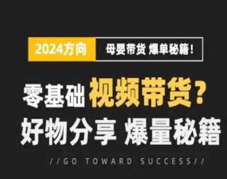 \”短视频母婴带货训练营：零基础爆量秘籍，轻松玩转好物分享\”-小伟资源网