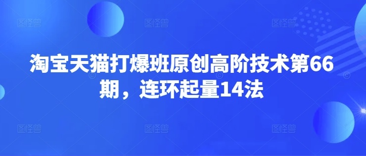淘宝天猫爆款打造高阶课：14招连环起量技巧（第66期）-小伟资源网