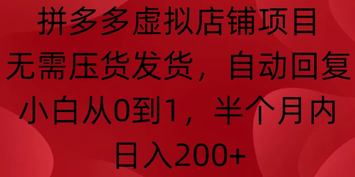 \”拼多多虚拟店铺0基础攻略：无囤货自动赚，半月日入200+【新手必看】\”-小伟资源网