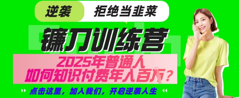 \”25年知识付费暴利揭秘：普通人如何年入百万？超级IP合伙人终极指南\”-小伟资源网