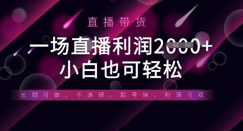 \”半无人直播带货：轻松上手，多平台适用，新手也能日赚数张\”-小伟资源网