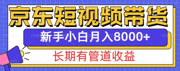 京东短视频带货轻松上手，新手月入8000+的长期收益秘籍-小伟资源网