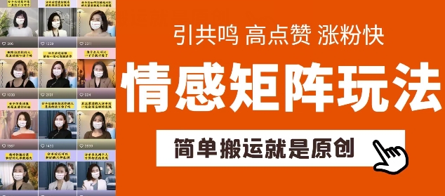 \”情感矩阵玩法揭秘：快速涨粉带货起号技巧\”-小伟资源网