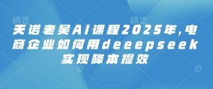 2025电商降本提效指南：天诺老吴教你用DeepSeek玩转AI-小伟资源网