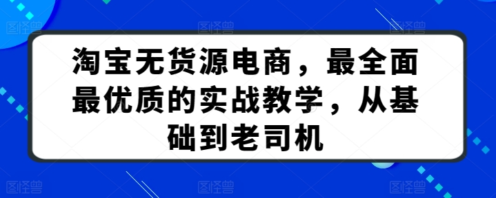 淘宝无货源电商实战教程：从入门到精通，新手变高手-小伟资源网