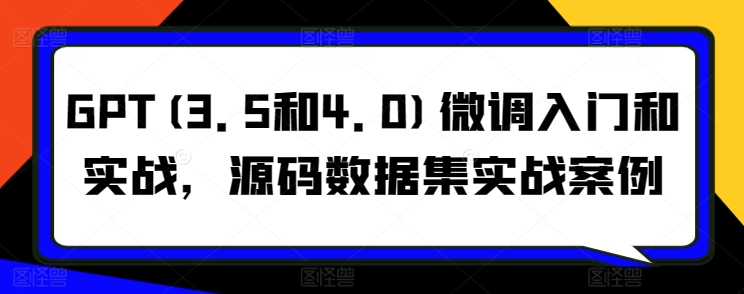 GPT3.5/4.0微调实战指南：源码+数据集+案例详解-小伟资源网