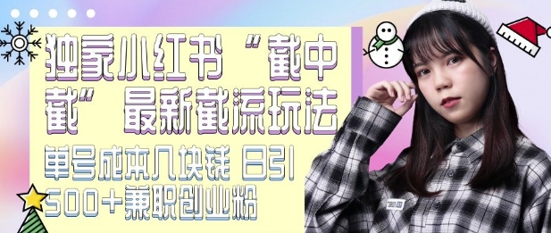 \”小红书截流新玩法：低成本日引500+精准粉，独家截中截技巧\”-小伟资源网