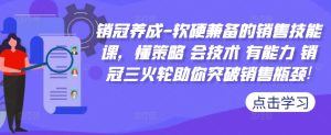 《销冠三火轮：软硬技能全攻略，突破销售瓶颈》-小伟资源网