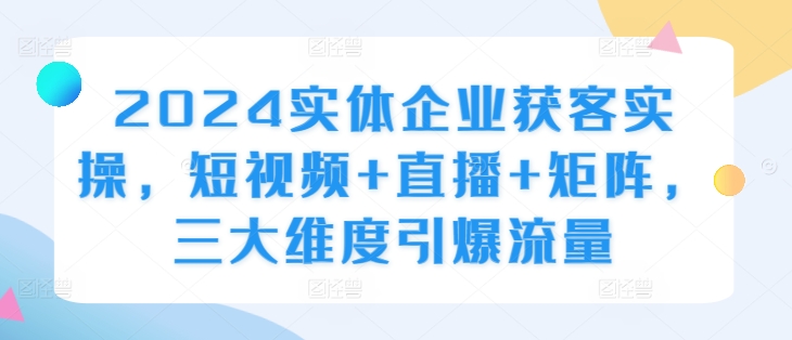 2024实体企业流量增长秘籍：短视频+直播+矩阵全攻略-小伟资源网