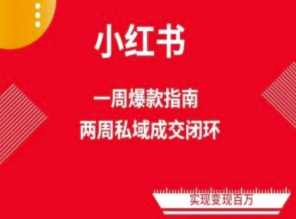 \”2周变现！小红书爆款电商免费流量实战课\”-小伟资源网