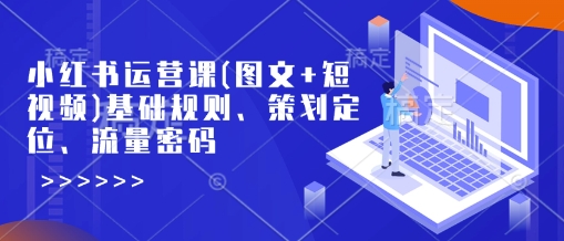 小红书运营实战课：图文短视频基础规则+精准定位+爆款流量技巧-小伟资源网