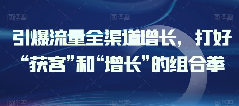 全渠道获客增长策略：引爆流量双引擎-小伟资源网