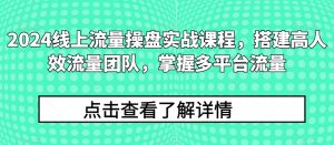 2024多平台流量实战课：高效团队搭建与精准操盘-小伟资源网