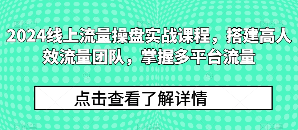 2024多平台流量实战课：高效团队搭建与精准操盘-小伟资源网