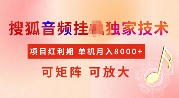 搜狐音频挂机项目揭秘：红利期矩阵操作，轻松月入5K+-小伟资源网