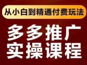 拼多多付费推广实战：零基础速成高手攻略-小伟资源网