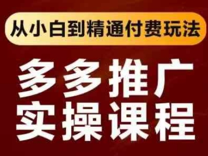 拼多多付费推广实战：零基础速成高手攻略-小伟资源网