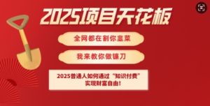 普通人逆袭指南：2025知识付费创富全攻略-小伟资源网