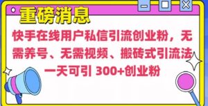 快手创业粉引流秘籍：0养号0视频，搬砖式暴增流量【全解析】-小伟资源网