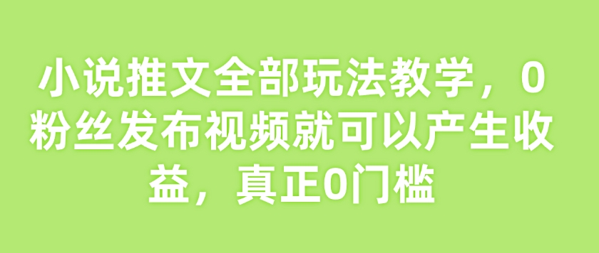 \”0粉丝也能赚！小说推文全玩法教学，视频变现零门槛指南\”-小伟资源网