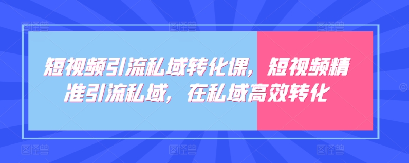 《短视频私域引流转化课：精准引流+高效变现》-小伟资源网