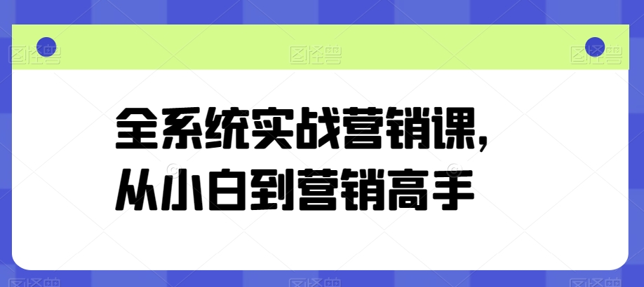 《零基础速成：实战营销全系统课，小白变高手》-小伟资源网