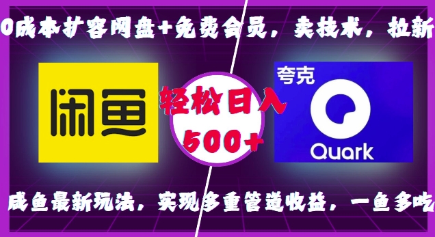 \”0成本网盘扩容+免费会员变现术：咸鱼新玩法日赚500+\”-小伟资源网