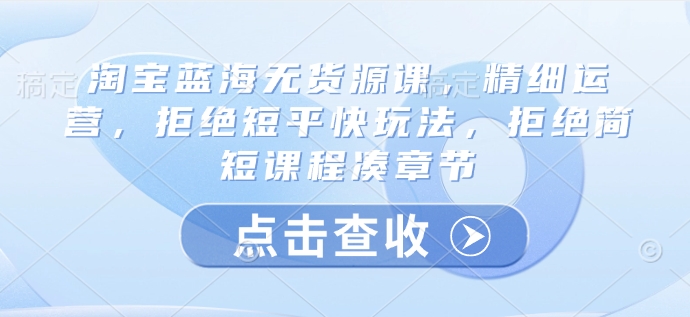 淘宝蓝海无货源实战课：精细化运营+系统教学，告别速成套路-小伟资源网