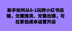 小红书零成本开店指南：新手无囤货、免出镜在家运营攻略-小伟资源网