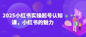 2025小红书起号实战指南：解锁平台爆款秘籍-小伟资源网