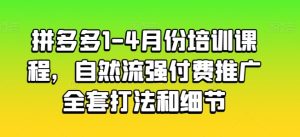 拼多多1-4月自然流量与付费推广全攻略：实战打法详解-小伟资源网