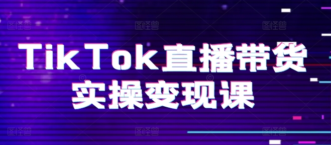 《TikTok直播带货全攻略：从0到1起号变现，团队搭建与运营技巧》-小伟资源网