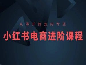 小红书电商新手变高手：零基础到专业运营全攻略-小伟资源网