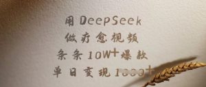 AI疗愈视频爆款秘籍：DeepSeek助力单日多张变现，10W+轻松拿-小伟资源网